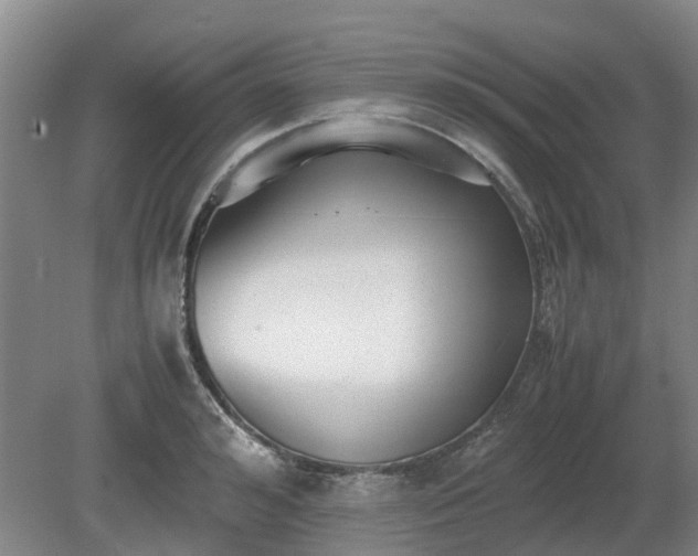 X0000081290992200701181804