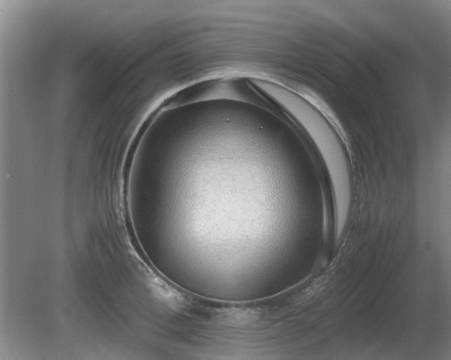 X0000081290996200701181804
