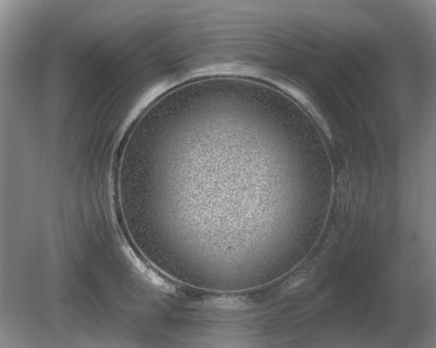 X0000081290998200701181804