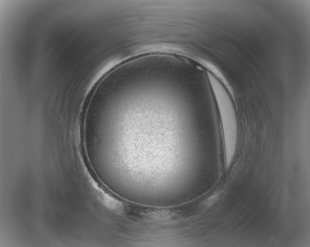 X0000081290999200701181804