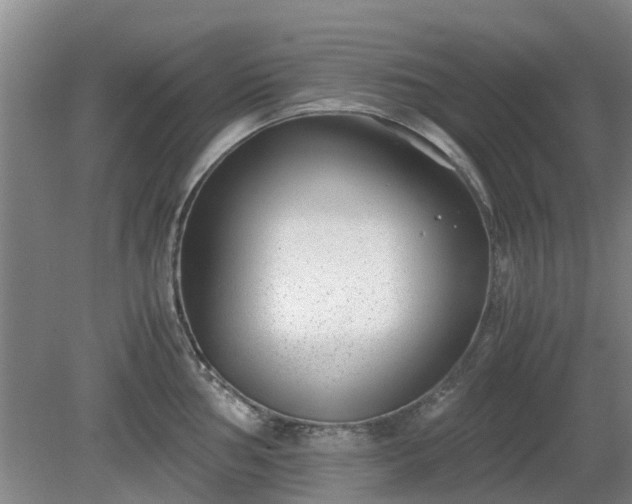 X0000081291002200701181804