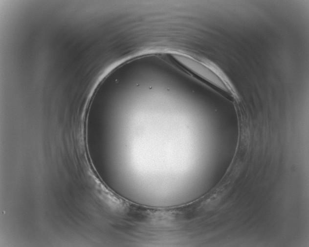 X0000081291004200701181804