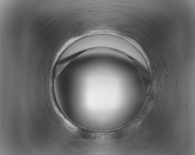 X0000081291005200701181804
