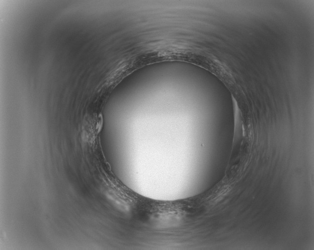X0000081291012200701181803