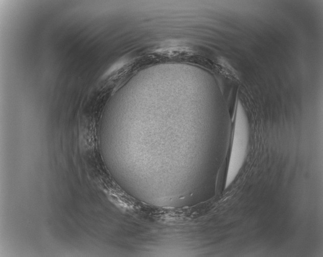X0000081291014200701181803