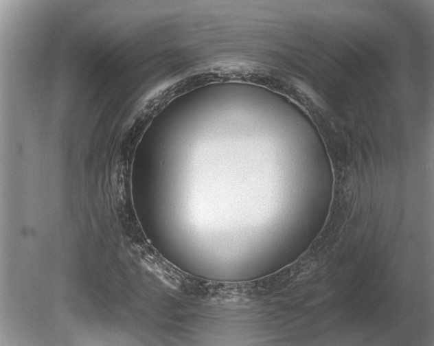X0000081291016200701181803