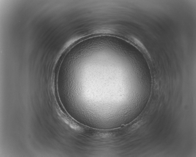 X0000081291035200701181804