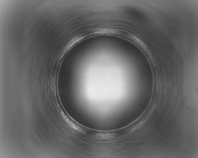 X0000081291041200701181804
