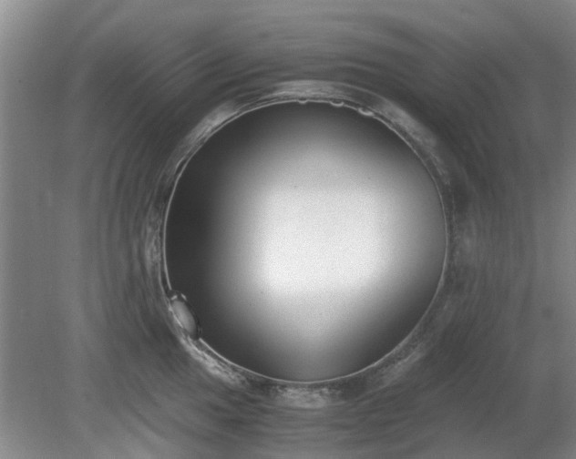 X0000081291049200701181804