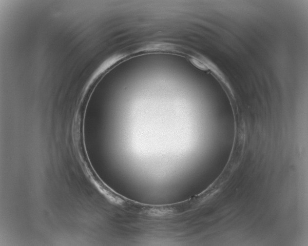 X0000081291053200701181804