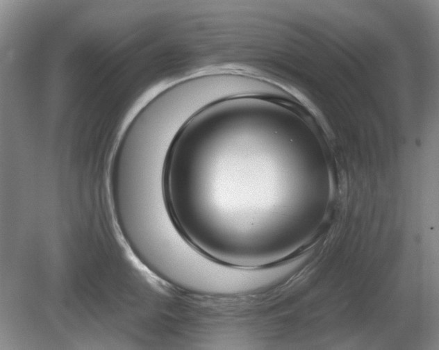 X0000081291054200701181804