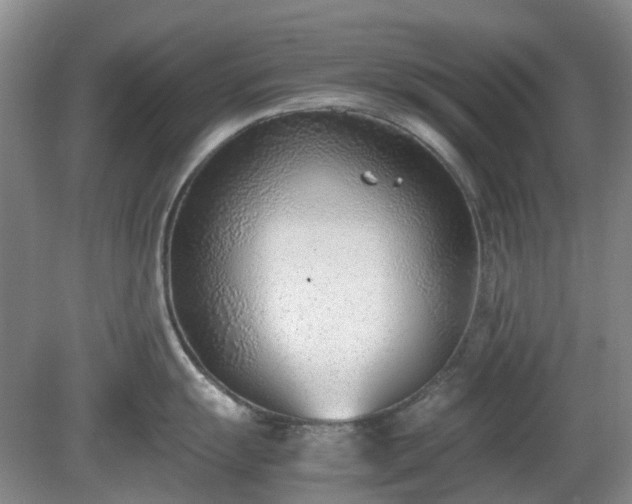 X0000081291055200701181804