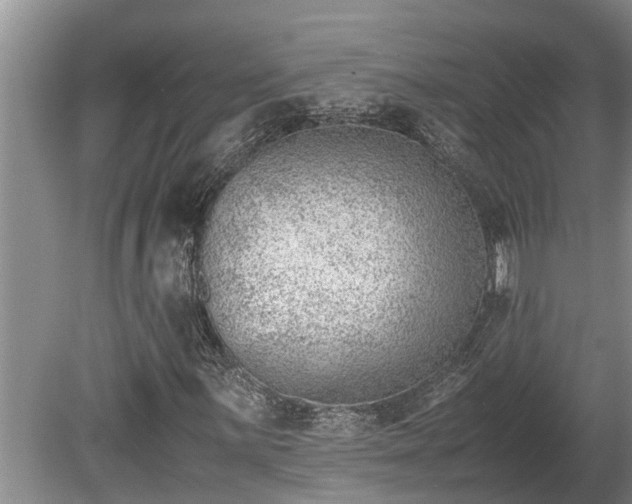 X0000081291059200701181803