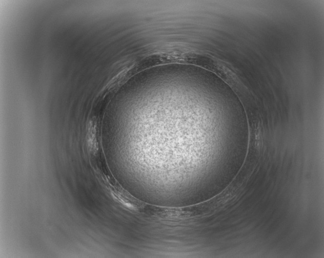 X0000081291060200701181803