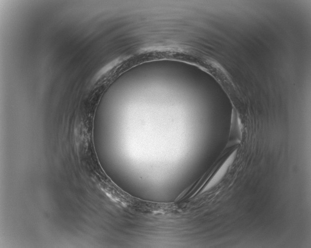 X0000081291064200701181803