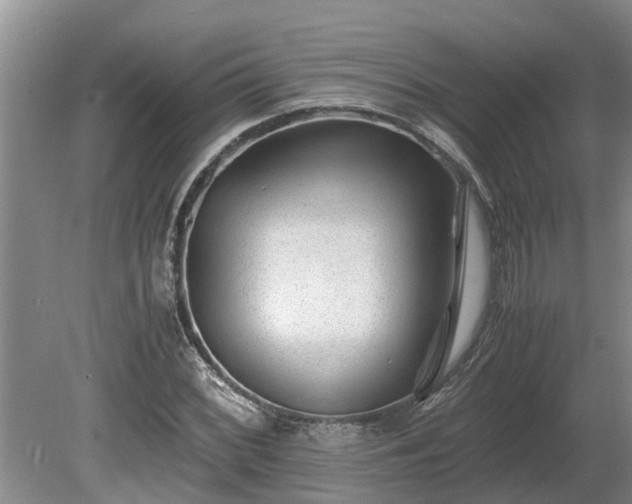 X0000081291068200701181803
