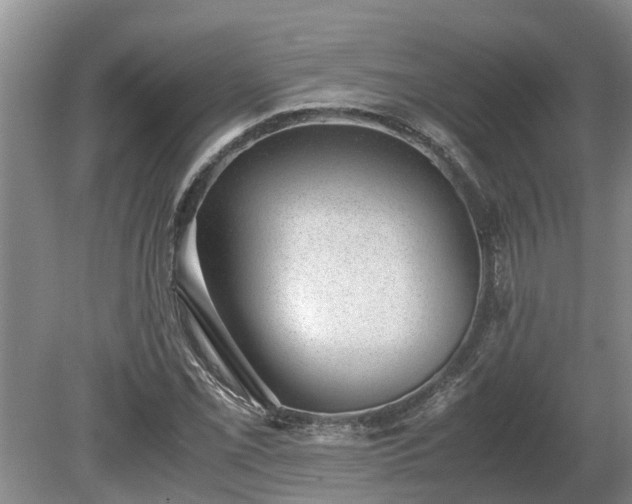 X0000081291069200701181803