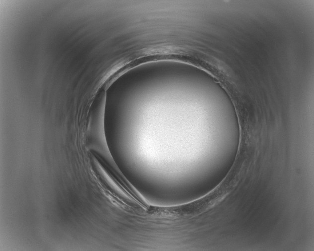 X0000081291073200701181803
