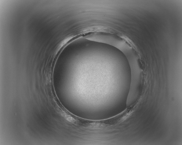 X0000081291081200701181803
