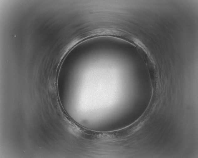 X0000081291089200701181803
