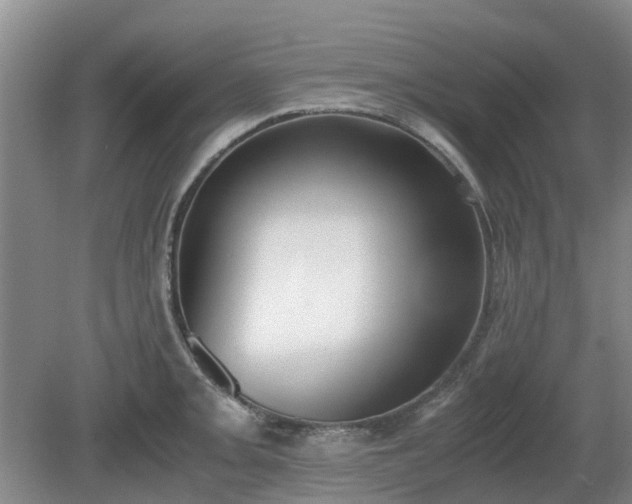 X0000081291093200701181803