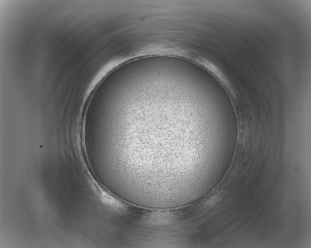 X0000081291094200701181803
