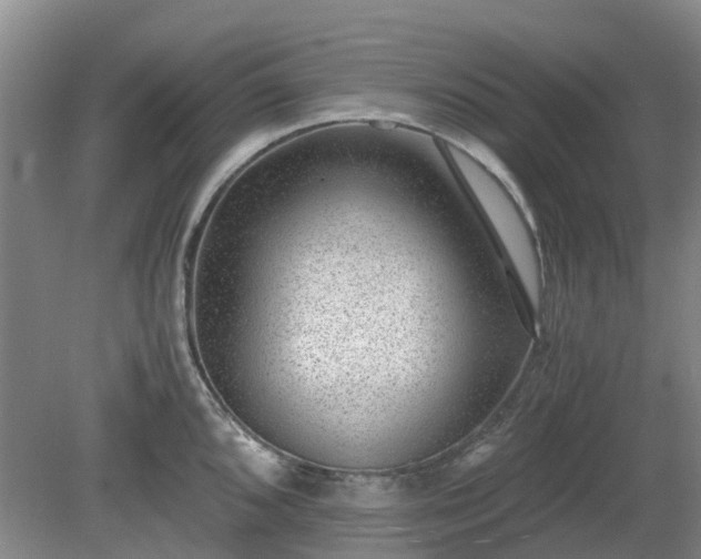 X0000081291096200701181803
