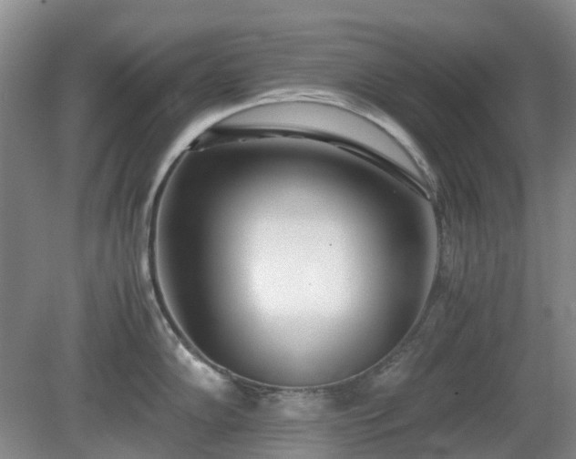X0000081291102200701181802