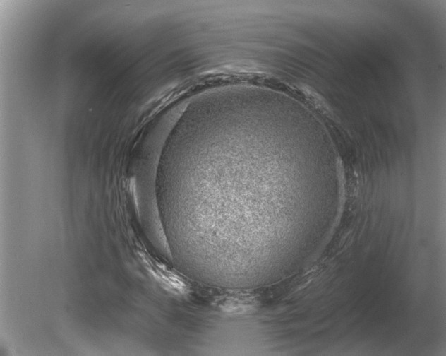 X0000081291110200701181802