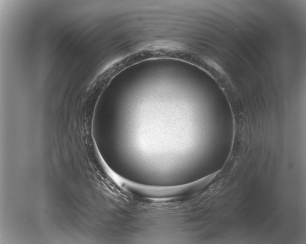 X0000081291112200701181802