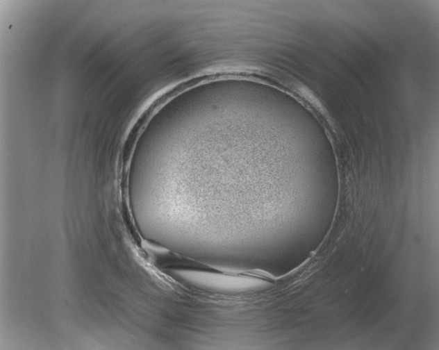 X0000081291124200701181802