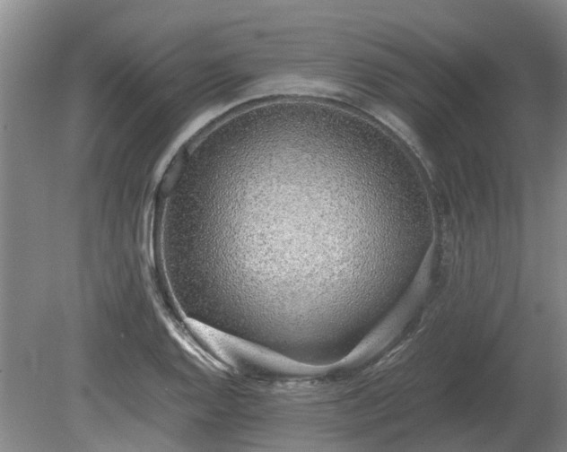 X0000081291128200701181802