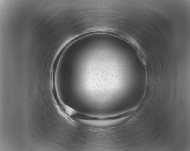 X0000081291132200701181802