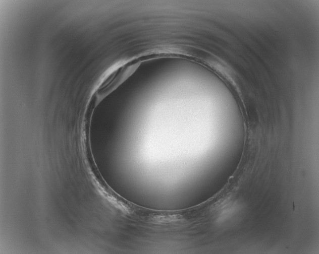 X0000081291133200701181802