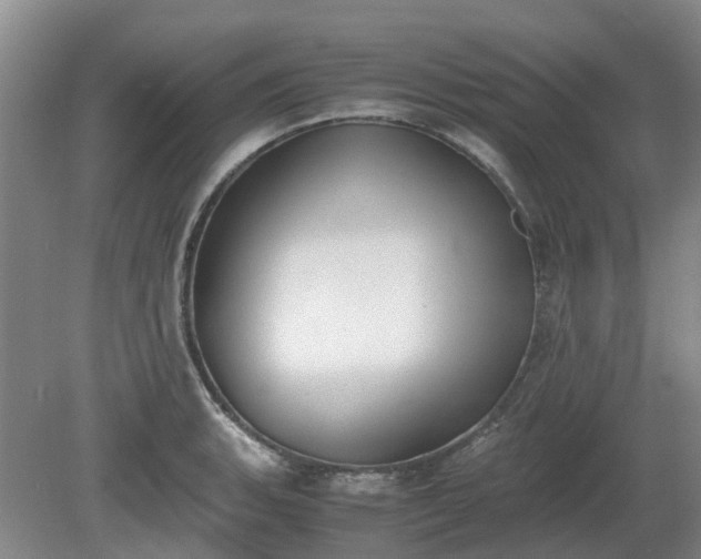 X0000081291135200701181802