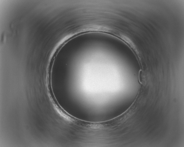 X0000081291136200701181802