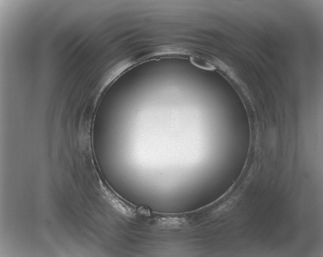 X0000081291137200701181802