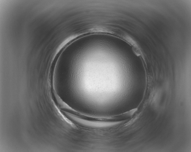 X0000081291141200701181802