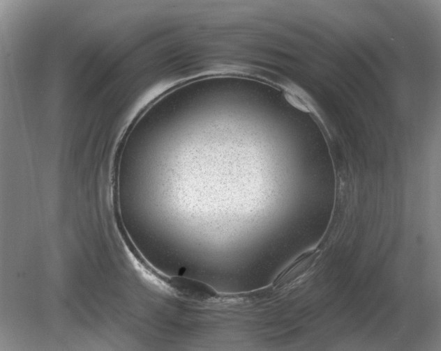 X0000081291143200701181802