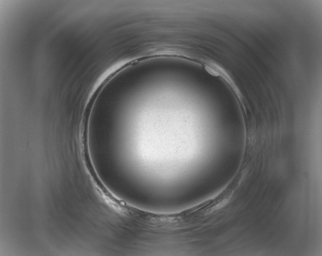X0000081291149200701181802