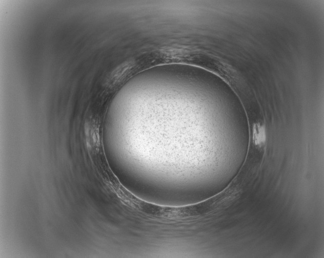 X0000081291155200701181802