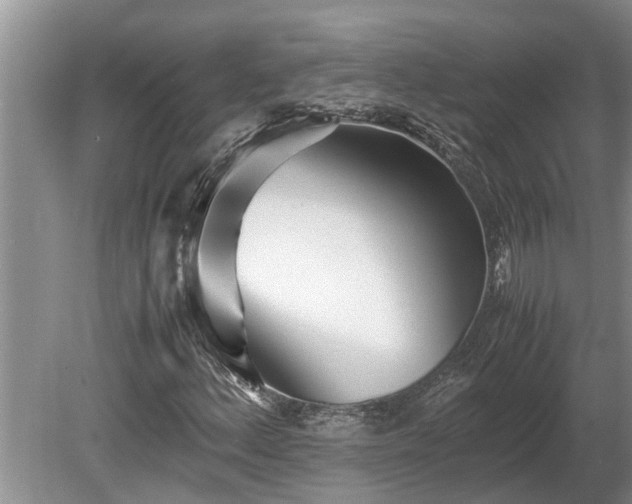 X0000081291156200701181802