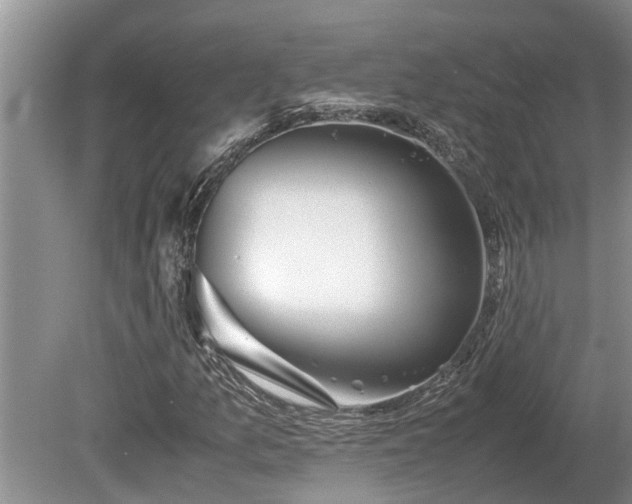 X0000081291157200701181801