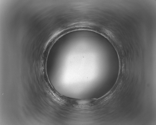 X0000081291164200701181801