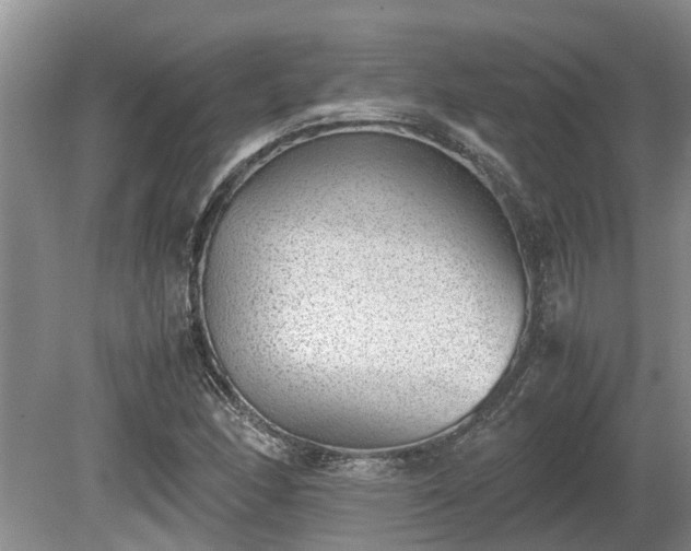 X0000081291166200701181801