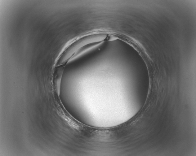 X0000081291168200701181801