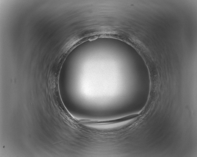 X0000081291169200701181801