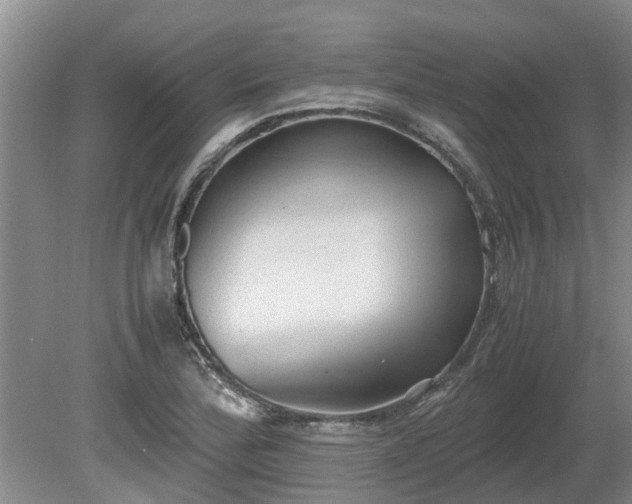 X0000081291172200701181801