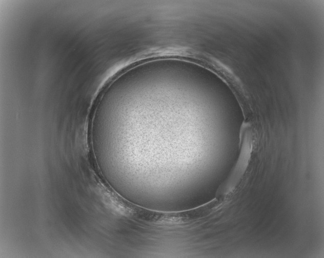 X0000081291174200701181801