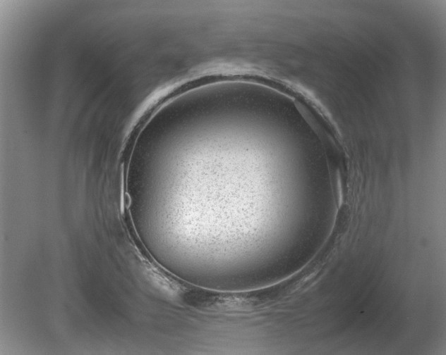 X0000081291175200701181801